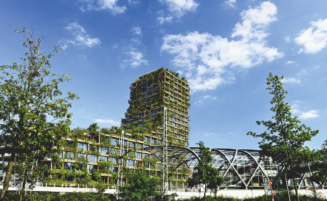 Buildings and a tower overgrown by plants.