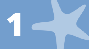 A starfish and the number 1.