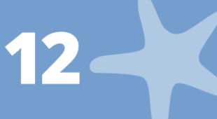 A starfish and the number 12.