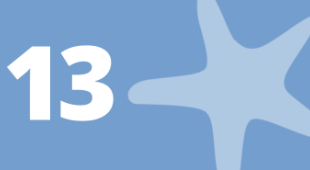 A starfish and the number 13.