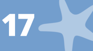 Starfish and number 17