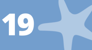 Starfish and number 19