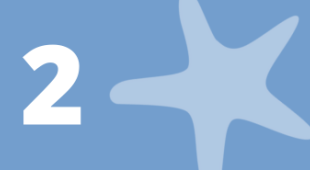 A starfish and the number 2.