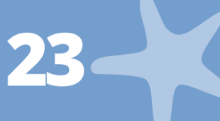 Starfish and number 23