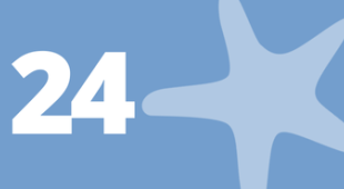 Starfish and number 24