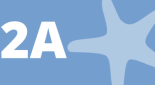 A starfish and the number 2A.