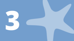 A starfish and the number 3.