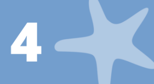 A starfish and the number 4.