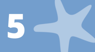 A starfish and the number 5.