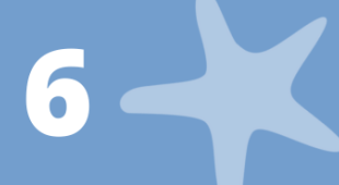 A starfish and the number 6.