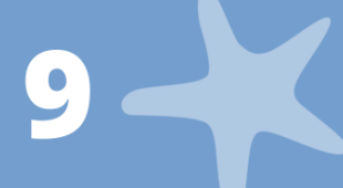 A starfish and the number 9.