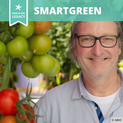 A smiling man next to tomato plants with red and green tomatoes.