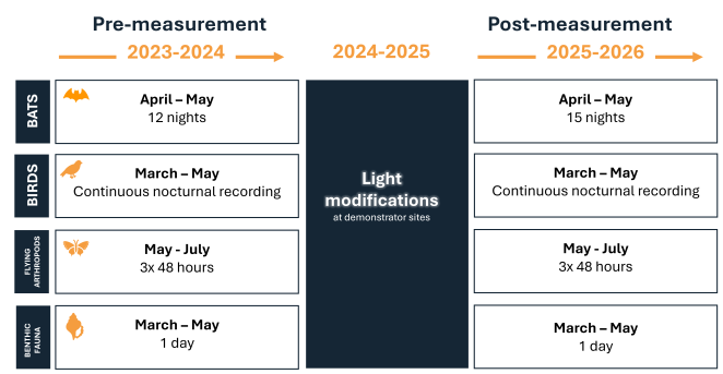 Figure 2 Overview of monitoring periods per species before and after light modifications