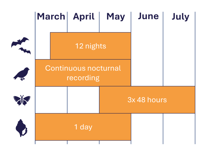 Figure 3 Overview of monitoring periods per species 