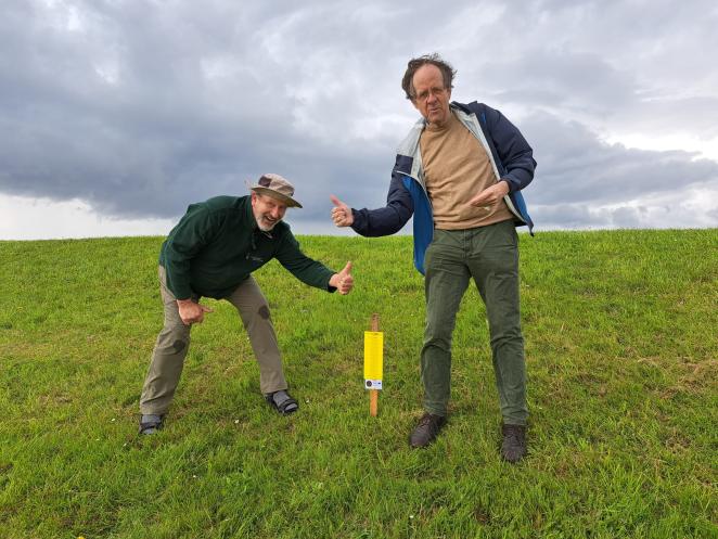 Sticky trap in Lauwersoog