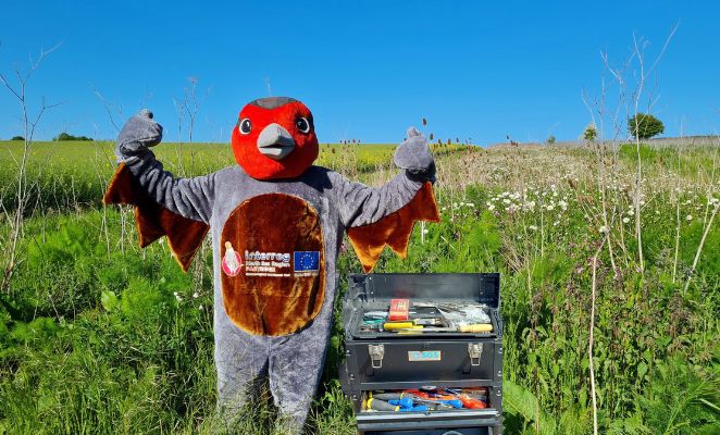 A human wearing a full-size partridge custome raising their hands in front of a green field.