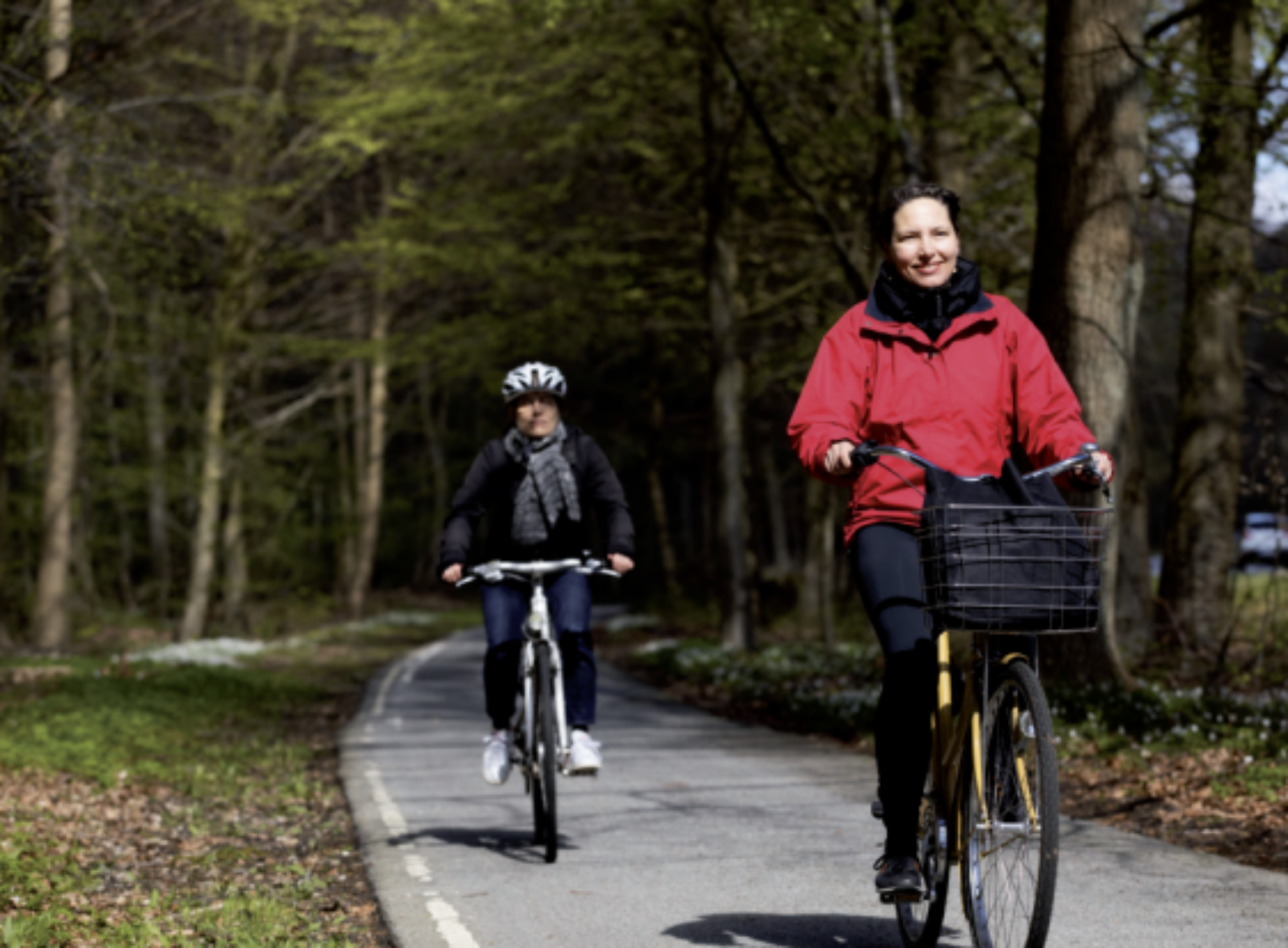 Citizens from the Central Region of Denmark cycling through a bikelane