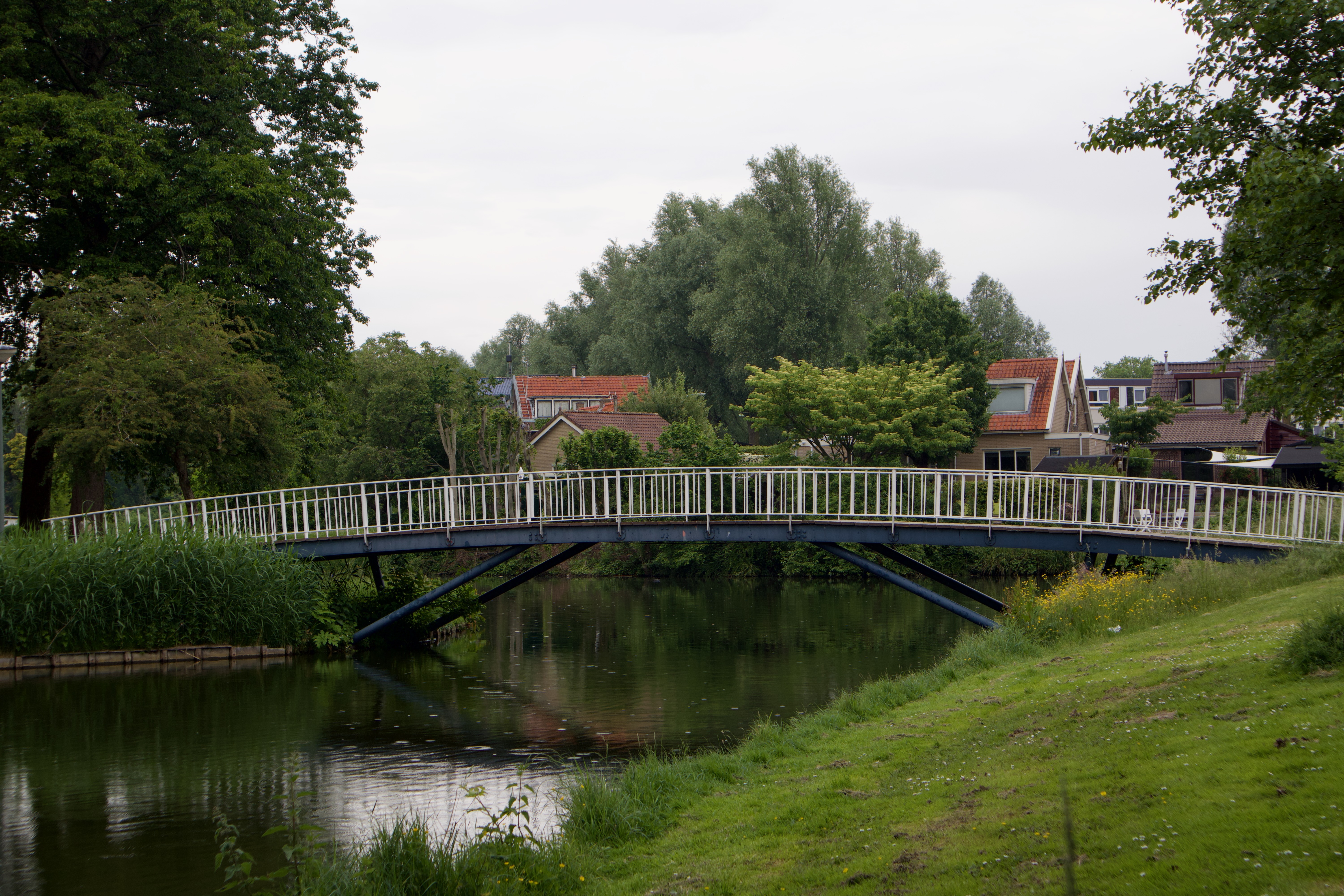 Dordrecht green space