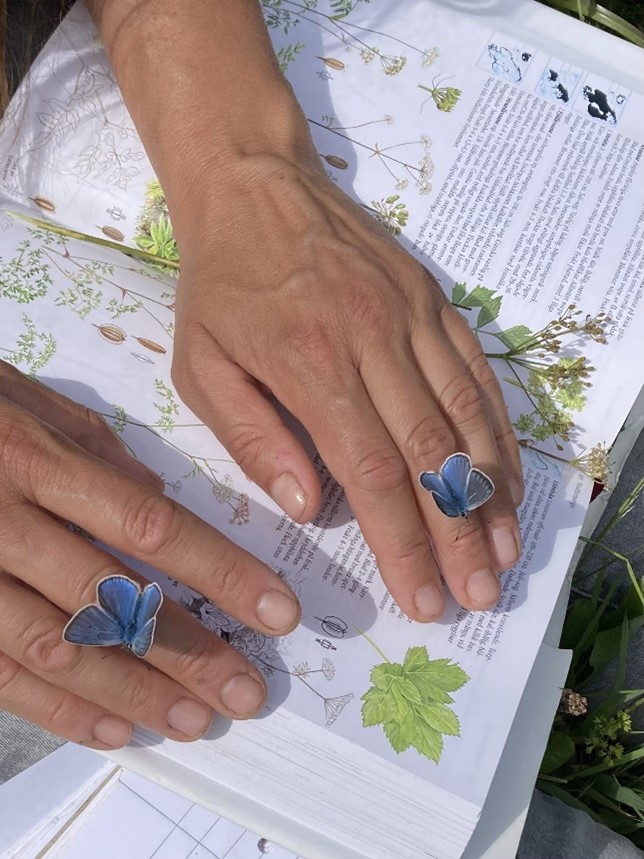 Two hands holding a book