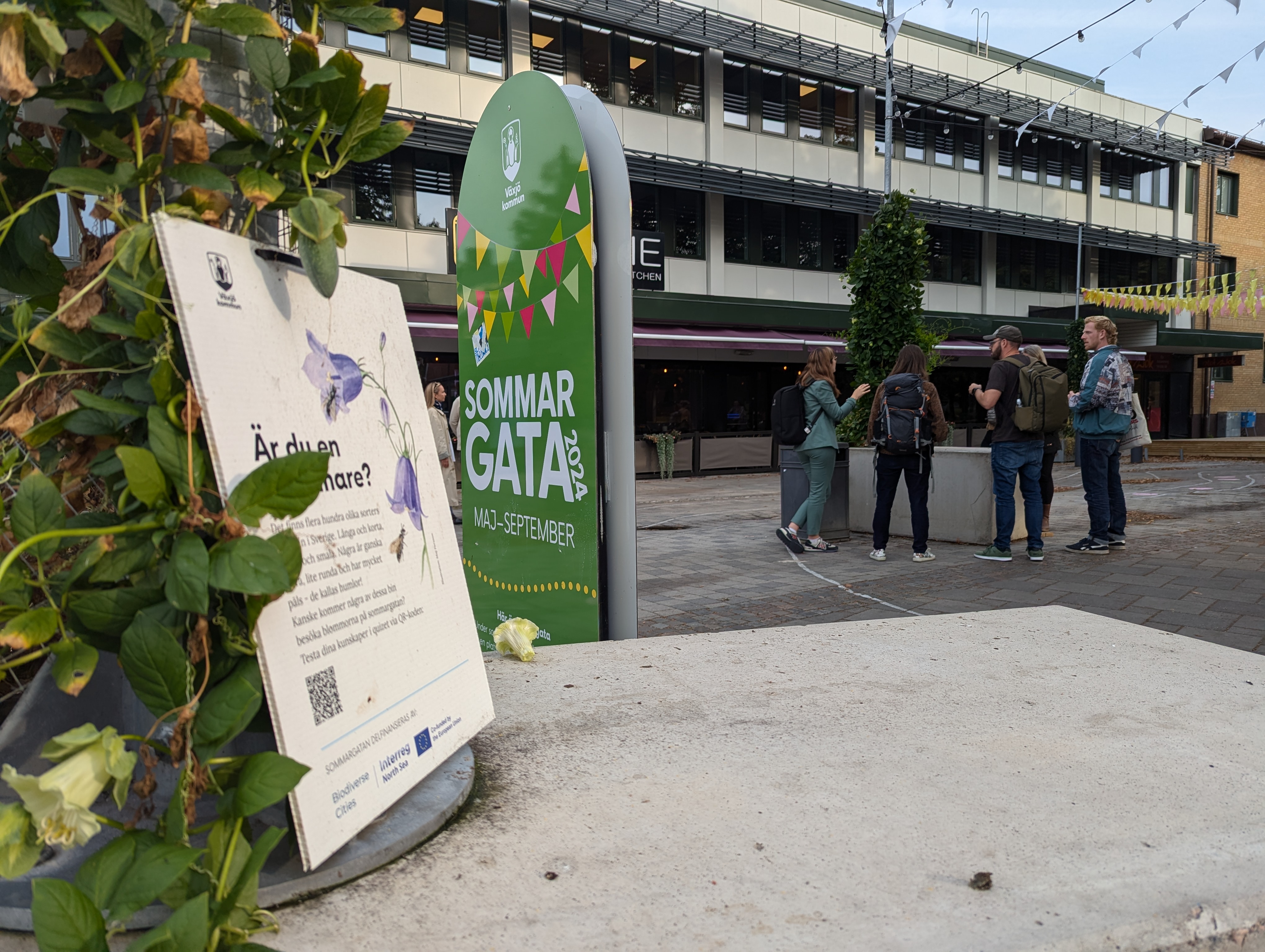 Biodiversity information on Växjö's summer street