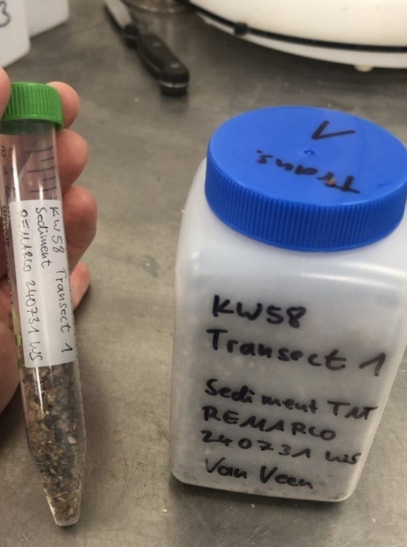 Collected sediment samples