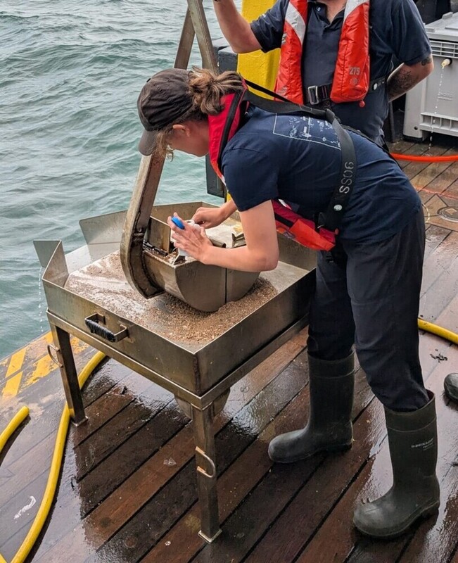 Sediment samples taken with a Van Veen grab