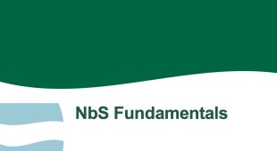 Front page of the document. Showing the title NbS fundamentals and the date, August 28th 2024.