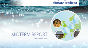 Cover Blue Transition Multilingual Mid Term report