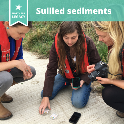 Three ladies wearing safety vests looking at an app.