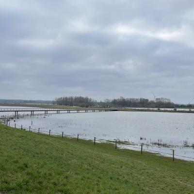 Zwolle field walk