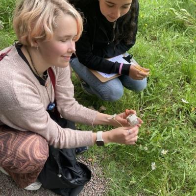 Two people looking closer at flowers