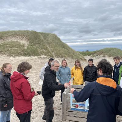 beach cleaning