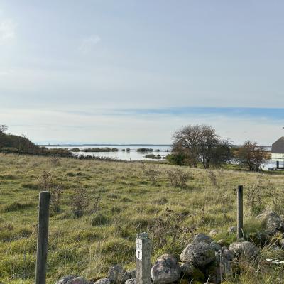 Hornborgasjön Nature reserve