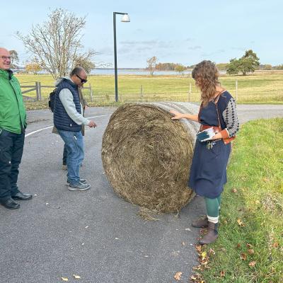 Straw bales 