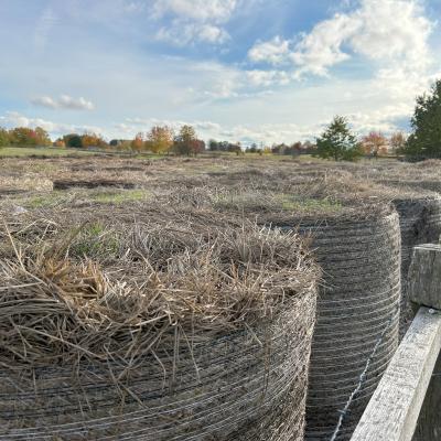 Straw bales 3