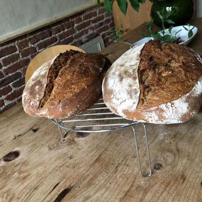 Homemade bread