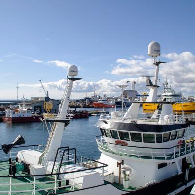 Fischtrawler in the Port of Skagen