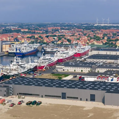 Port of Skagen, Mick Anderson