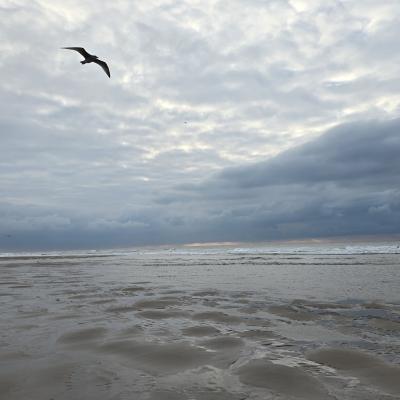 North Sea beach