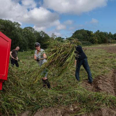 Photo of Aarhus volunteers scattering grass over fields
