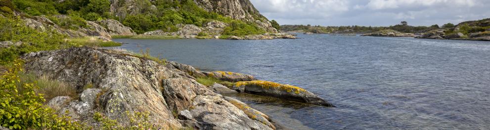 Swedisch Coast FREIIA