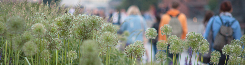 Locals enjoying their biodiverse city