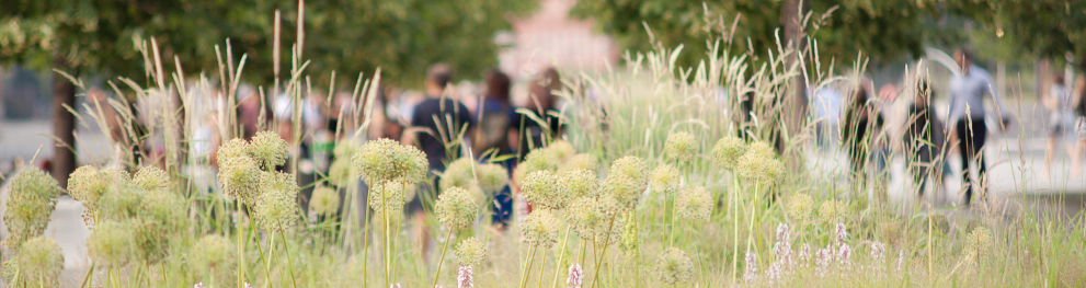 Locals enjoying their biodiverse city