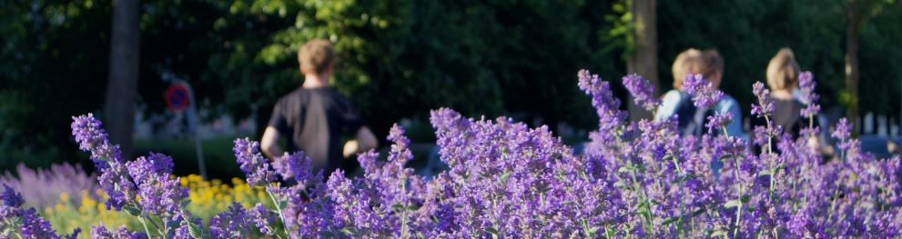 Locals enjoying their biodiverse city