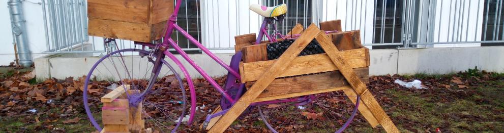 An old bike transformed into a mobile garden