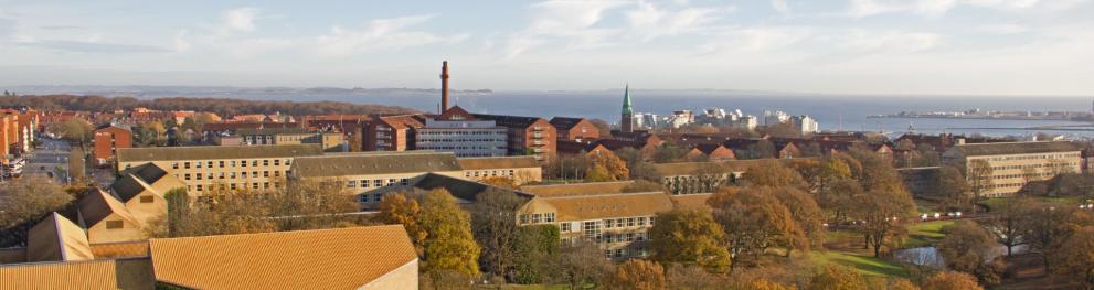 Aerial view of the City of Aarhus, showing autumn trees and the sea in the background.