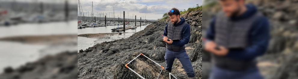 Counting benthic fauna at Moulin Blanc 