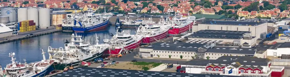 Port of Skagen, Mick Anderson