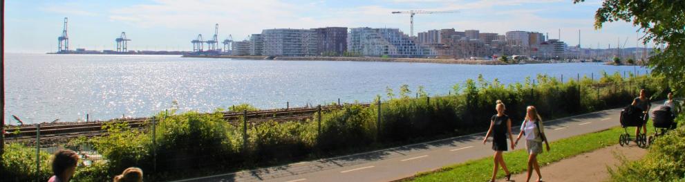 People taking a stroll near the water.