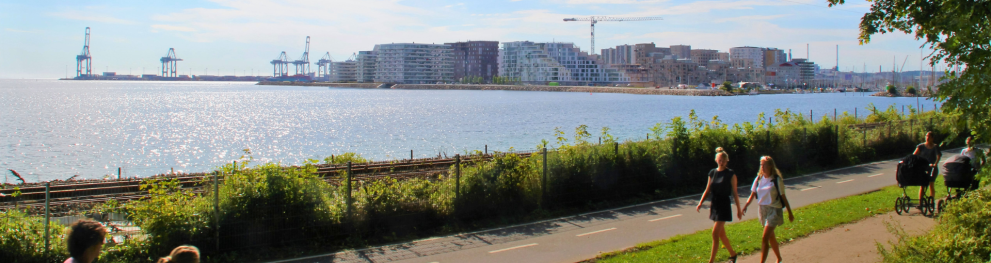 People walking on a path alongside the sea in an urban setting